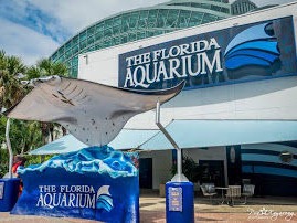 The Florida Aquarium