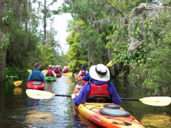 Seirra Club Ocala FL