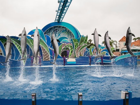 SeaWorld Orlando Florida